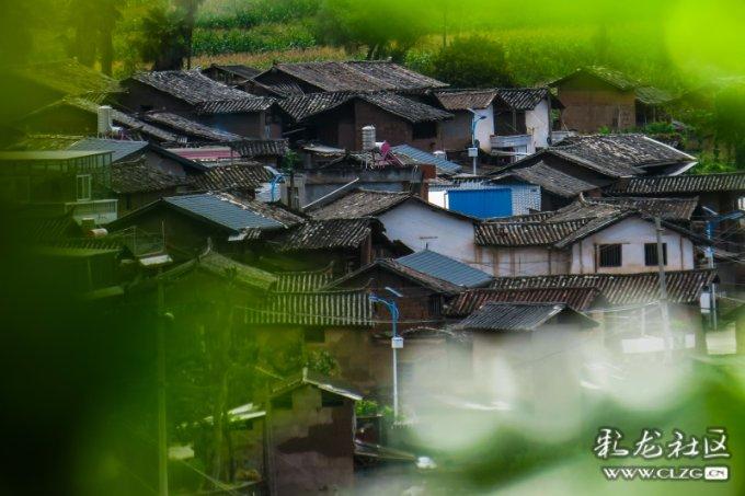 探索知识星球平台,获得专业指导与分享励志的国产电影推荐