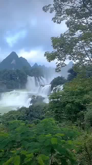 竞技宝登录